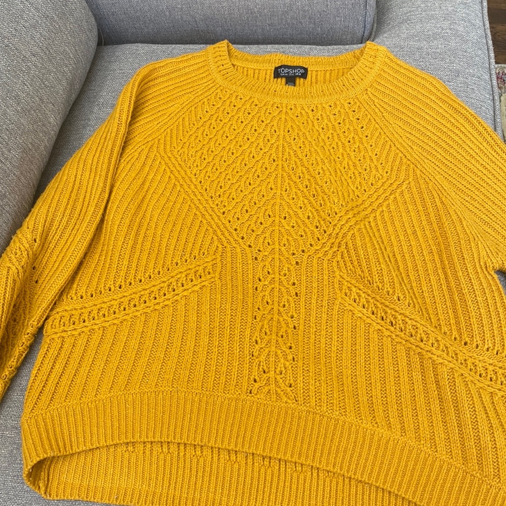 Topshop sweater